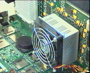 alpha covered